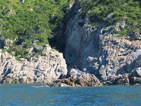 японское море