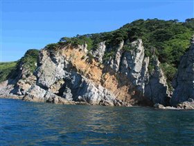 дракошу видете?