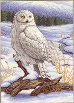03861 - The Stately Snowy Owl