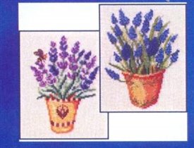 80. DMC_XC1336_Lavender_and_hyacint