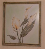 Каллы оформленные