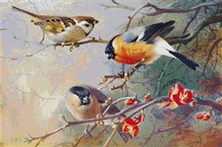 Classic Cross Stitch - bi 103 Trio of Birds