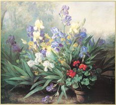 Classic Cross Stitch - FR 143 Iris and geraniums