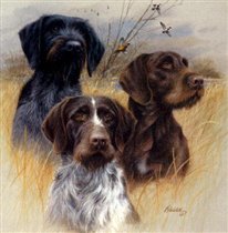 Это исходная картинка