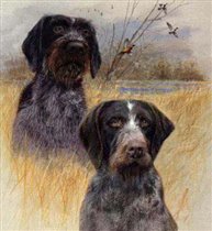 Ловкость рук и никакого мошейничества:)