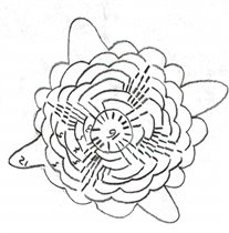 примернаясхема для белой кофты  в спиральках