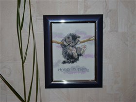 кот на ветке