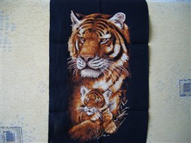 ЗР  Тигрица