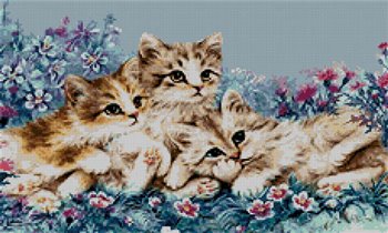 Три котика в цветах(18)