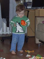 Собачья кофта