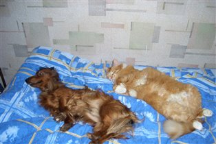 И снова вместе