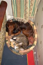 'а нам в самый раз'