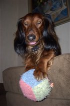 'где фотограф'