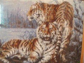 Два рыжых тигра