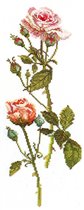 2 - Розовая роза