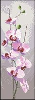 PM4-JCOR686_Orchid Panel