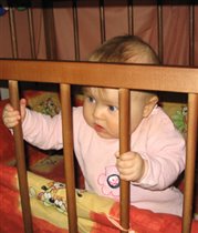 Свободу попугаям!!!