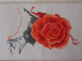 состояние на 06.03.2006