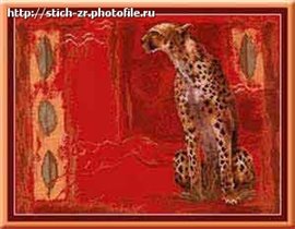Гепард