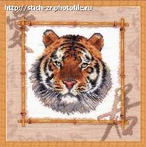 Уссурийский тигр