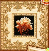 Астра песков