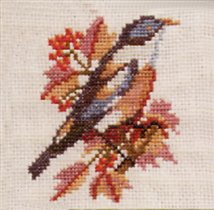 Большой  чекан