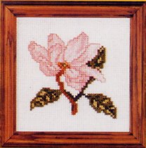 Цветок яблони