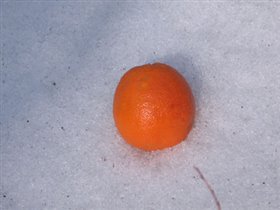 Апельсин на снегу