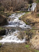 шумно и весело....