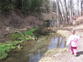 Зелень в воде