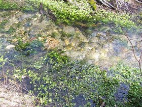 и совсем близко