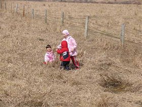 Детки на выпасе
