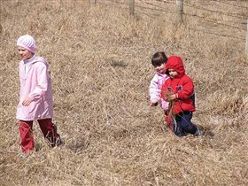 Это детки нам несут сено... Кто вперед!