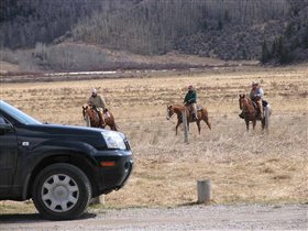 А вот и хозяева снятой территории