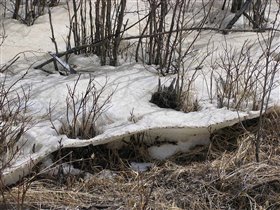 Чудо с каемочкой