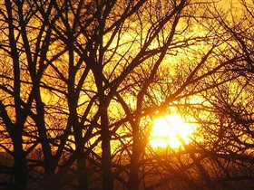 Случайный снимок