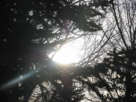 Лучики начавшегося заката