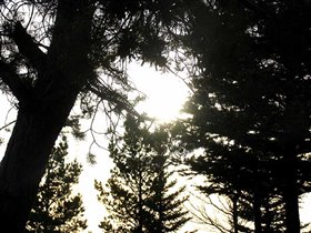 Солнышко еще высоко достаточно, но видно, что клонится к закату...