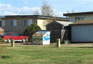 Расписной мусорный ящик