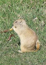 У.... как вкусно-то!!!!