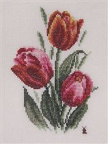 Тюльпаны для мамы-Тани