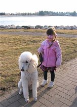 Уже подружились