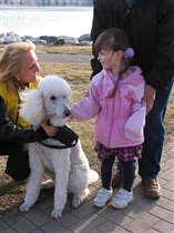 А собачка-то очень милая и мягкая....