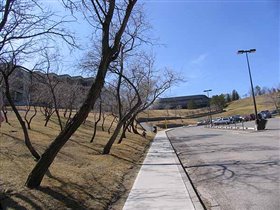 Несколько корпусов университета