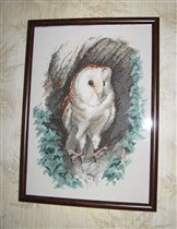 Barn Owl  от Heritage