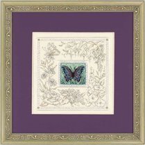 06872 Dimensions_-_Fanciful butterfly