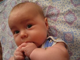 Вкусный кулачок