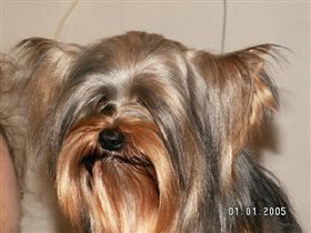 После ванной. Не люблю причесываться. А вот сушиться - люблю!!))