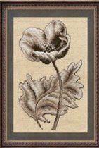 Анемон из серии рисунок на холсте