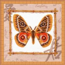 БУНЕОПСИС ПОВЕЛИТЕЛЬ из серии Мир вокруг нас